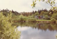 1981-05-15 Weekend Vennebos Hapert FF 01 1981-05-15 Weekend Vennebos Hapert FF 01